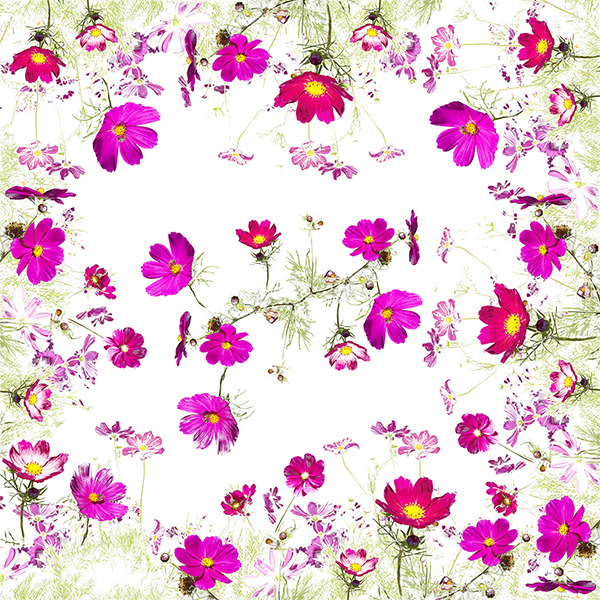 cosmos-table-cloth